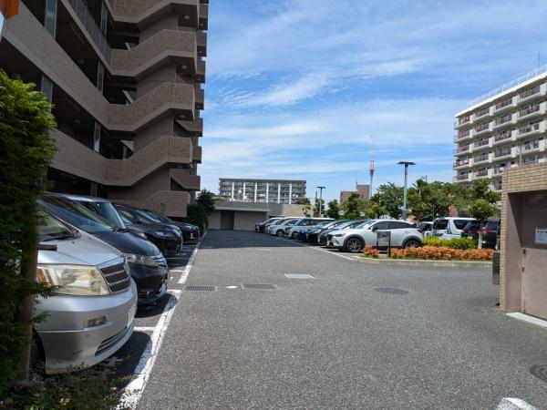 川口ティーブルー