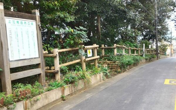 さいたま市北区日進町2丁目の土地(上加自然の森)