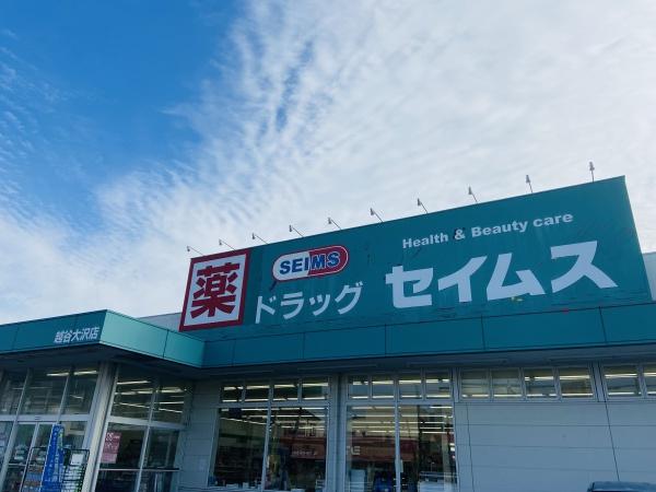 越谷市東越谷5丁目の中古一戸建て(ドラッグセイムス越谷大沢店)