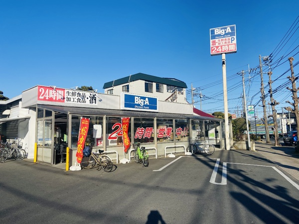 越谷市東越谷5丁目の中古一戸建て(ビッグ・エー越谷東大沢店)