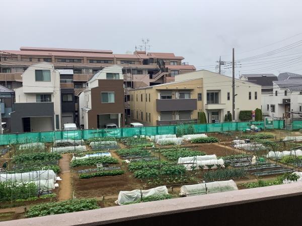 ライオンズマンション西高島平溝下公園弐番館