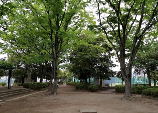 川口市大字伊刈の中古一戸建て(芝公園)