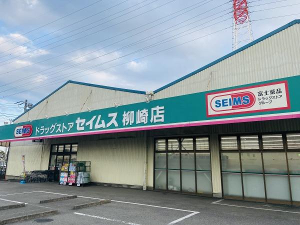 川口市大字伊刈の中古一戸建て(ドラッグセイムス柳崎店)