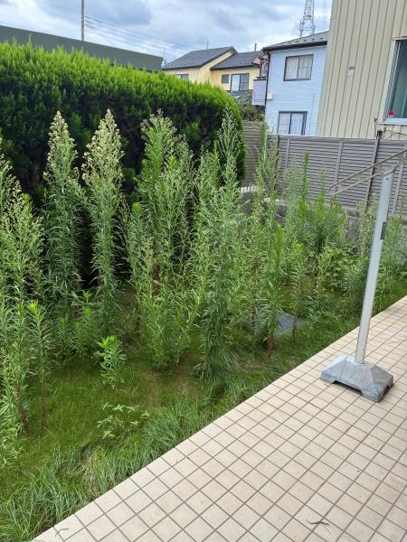 ルネサンス東川口プレリア