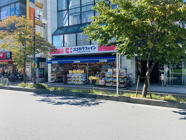 西川口並木第3サニーコート(ココカラファイン西川口駅前店)