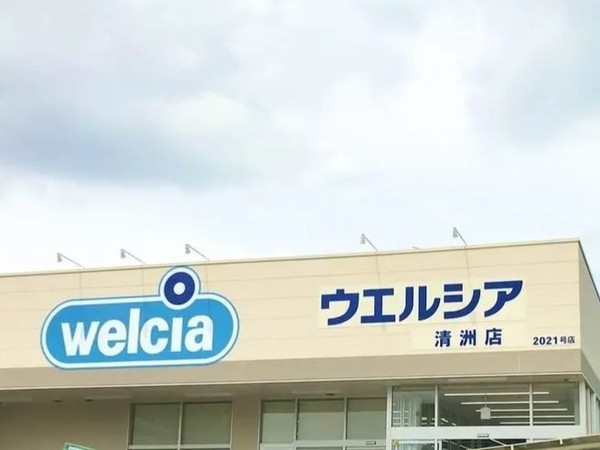 清須市清洲5期2号棟(ウエルシア清洲店)