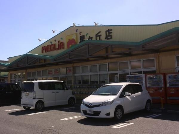 豊田市西岡町第52号棟(メグリアミニ星ケ丘店)