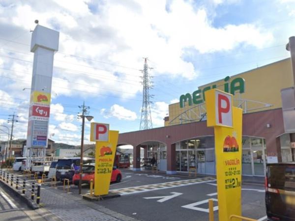 豊田市宝来町1号棟(メグリア志賀店)