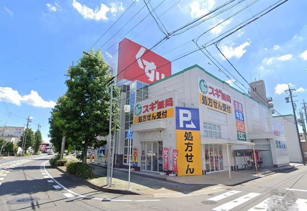 中川区下之一色町9期2号棟(スギ薬局中川一色新町店)