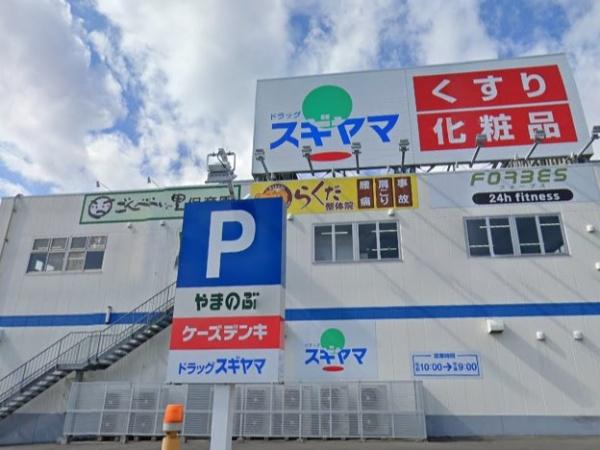 豊田市上原町1号棟(ドラッグスギヤマ四郷店)