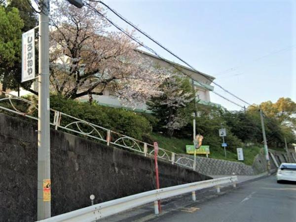 エリックス・アラオ(東海市立平洲小学校)