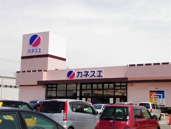 稲沢市祖父江町甲新田1号棟(カネスエ平和店)