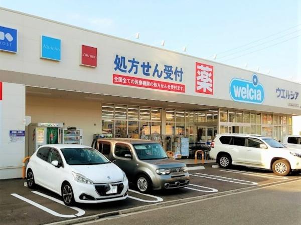 中川区中須町2期　1号棟(ウエルシア名古屋法華西町店)