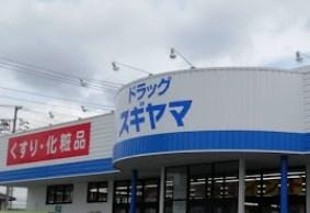 尾張旭市東印場町4号棟(ドラッグスギヤマ印場店)
