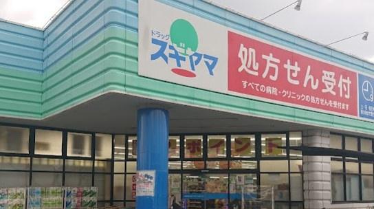 宝マンション小幡苗代(ドラッグスギヤマ千代田店)