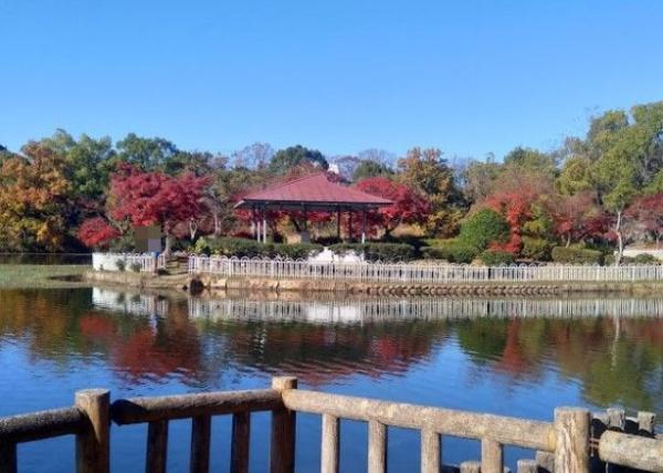 春日井市白山町2期7号棟(新池公園)