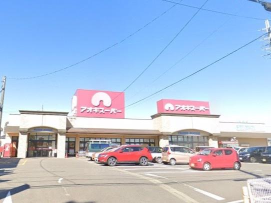 半田市大伝根町第21号棟(アオキスーパー乙川店)