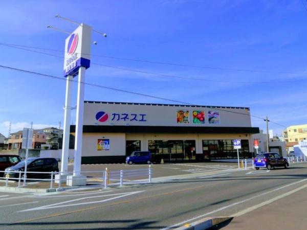 知多市八幡新道2号棟(カネスエ阿久比店)