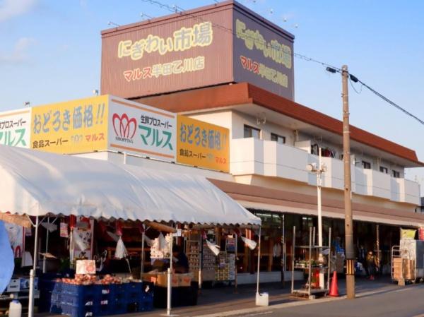 半田市平地馬場町1号棟(にぎわい市場マルス半田乙川店)