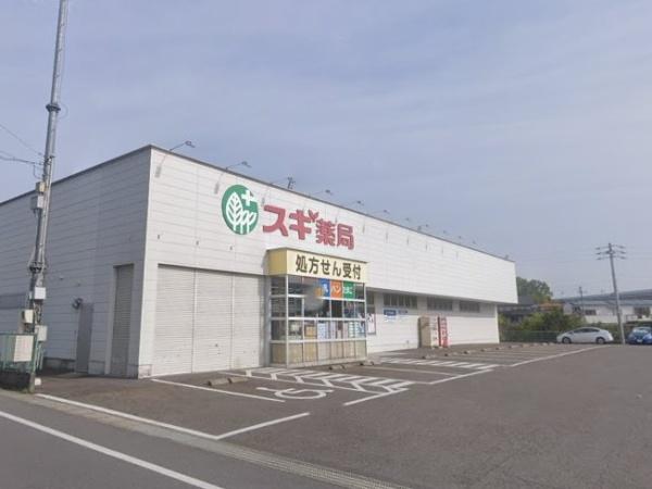 豊田市西中山町第81号棟(スギ薬局藤岡店)