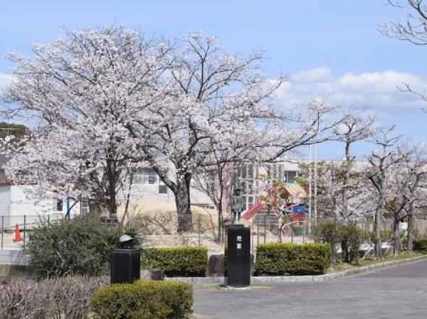 豊田市五ケ丘１丁目の中古一戸建て(五ヶ丘大和幼稚園)