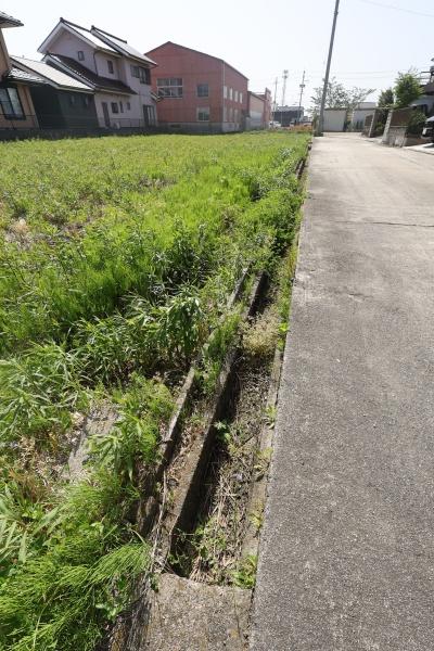 西尾市一色町対米洲田の土地