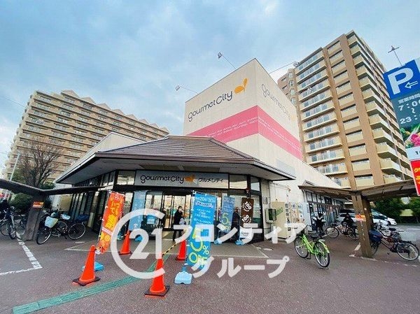 キャステージパーク4番街 中古マンション(グルメシティ八尾店)