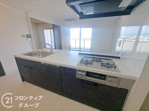 ルイシャトレ平野喜連II番館　中古マンション