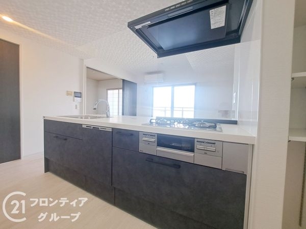 ルイシャトレ平野喜連II番館　中古マンション