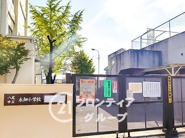 八尾市永畑町２丁目　新築一戸建て　第１　全１区画(八尾市立永畑小学校)