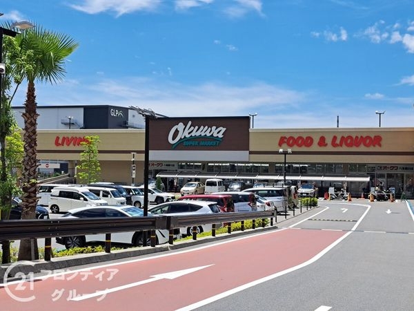 八尾市東山本新町８丁目　新築一戸建て　全１区画(オークワ八尾郡川店)