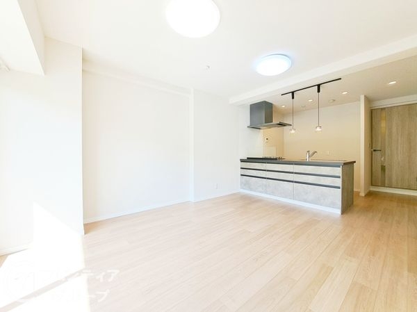 八戸ノ里ニュースカイハイツ　中古マンション