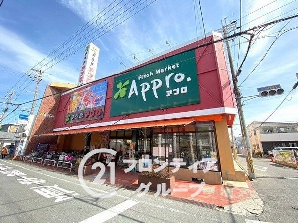 松原市岡３丁目新築一戸建て(食品館アプロ岡店)