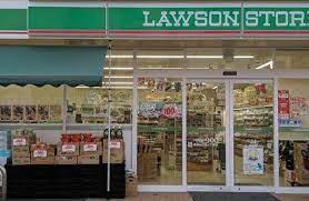大阪市住吉区山之内5丁目の中古一戸建て(ローソンストア100住吉山之内三丁目店)