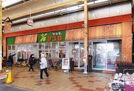 大阪市住吉区清水丘2丁目の中古一戸建て(食品館アプロ安立店)
