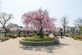 大阪市住吉区東粉浜1丁目の中古一戸建て(万代池公園)