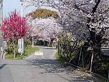 大阪市東住吉区田辺6丁目の土地(桃ケ池公園)
