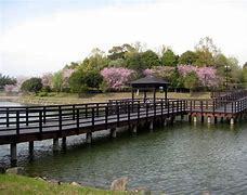 大阪市旭区大宮2丁目の土地(旭公園)