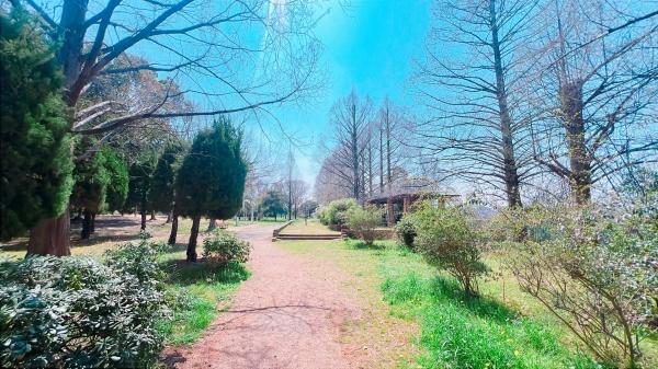 枚方市東山１丁目の中古一戸建て(中の池公園運動広場)