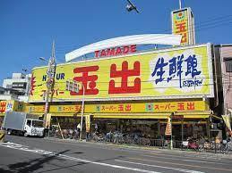大阪市阿倍野区阪南町５丁目の中古一戸建て(スーパー玉出播磨店)