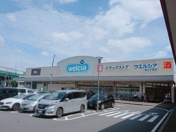 大阪市旭区太子橋3丁目の中古一戸建て(ウエルシア旭太子橋店)