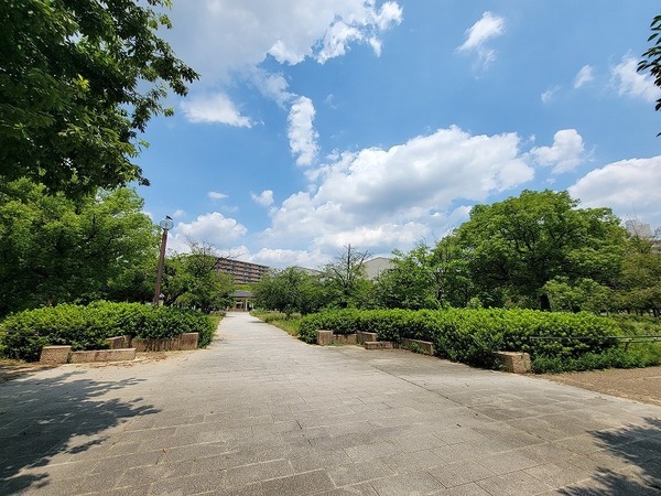 壬生川団地B棟(光徳公園)