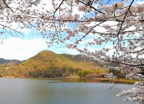 京都市右京区嵯峨広沢南野町の土地(広沢公園)