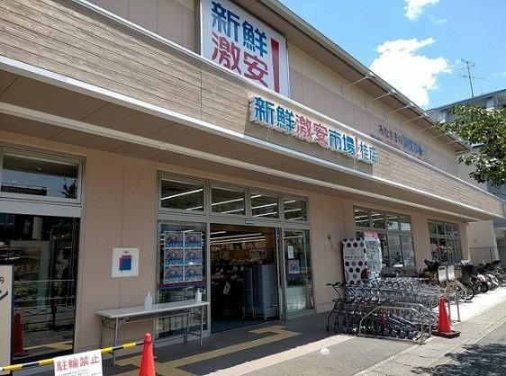 西京区下津林前泓町　C号地(新鮮市場桂店)