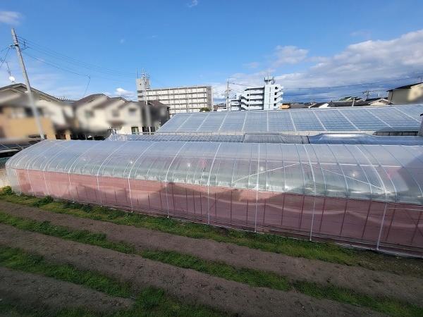 京都市右京区嵯峨広沢南下馬野町の土地