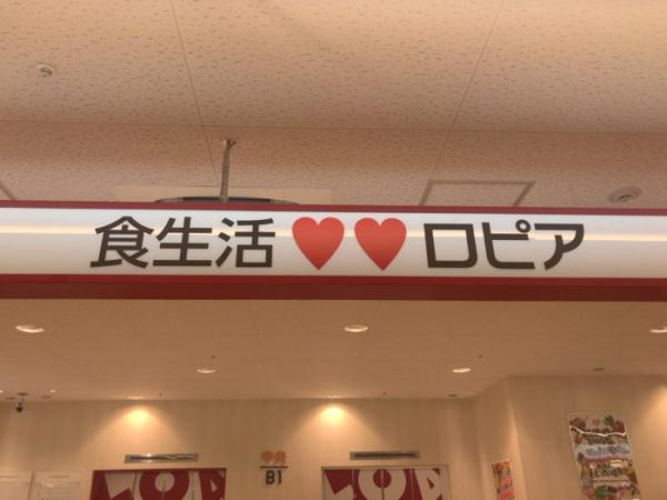 松戸市松戸 新築戸建て(ロピア松戸店)