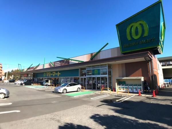 アインズコート柏(マミーマートあけぼの店)