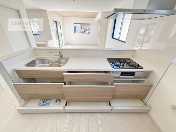 守谷市立沢　1号棟　新築戸建て