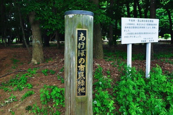 取手市寺田 新築戸建て(あけぼの市民緑地)