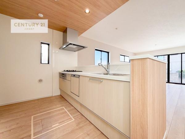 松戸市新松戸南2丁目　1号棟　新築戸建て